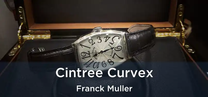 Cintree Curvex Franck Muller